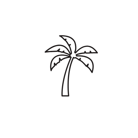 puntacana